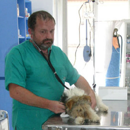 DR. BOCHIS ALIN – Cabinet veterinar Baia Mare